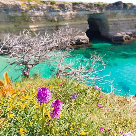 Vakantiehuis Elegant With Sea View In Otranto, Wifi, Air Conditioning And Parking *